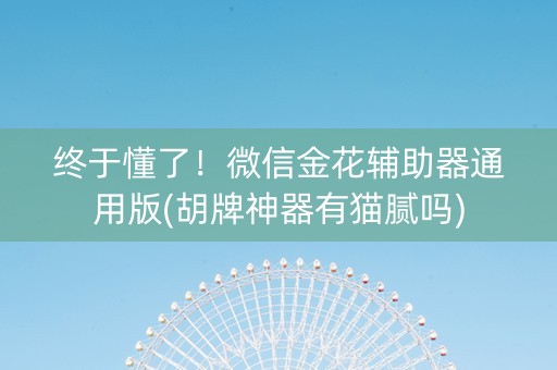 终于懂了！微信金花辅助器通用版(胡牌神器有猫腻吗)