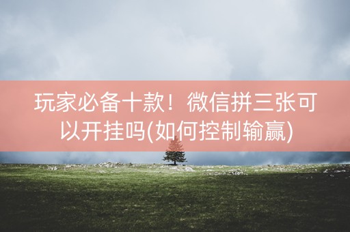 玩家必备十款！微信拼三张可以开挂吗(如何控制输赢)