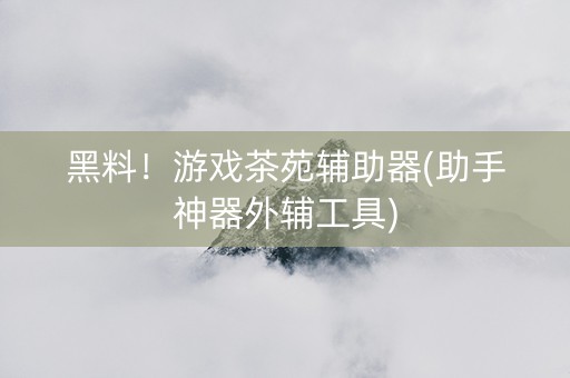 黑料！游戏茶苑辅助器(助手神器外辅工具)