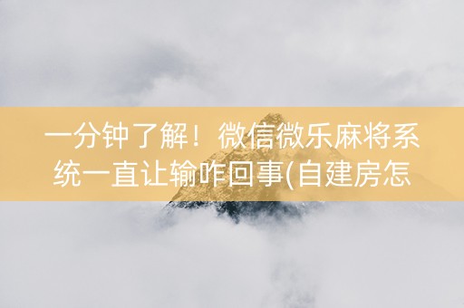 一分钟了解！微信微乐麻将系统一直让输咋回事(自建房怎么赢)
