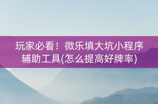 玩家必看！微乐填大坑小程序辅助工具(怎么提高好牌率)