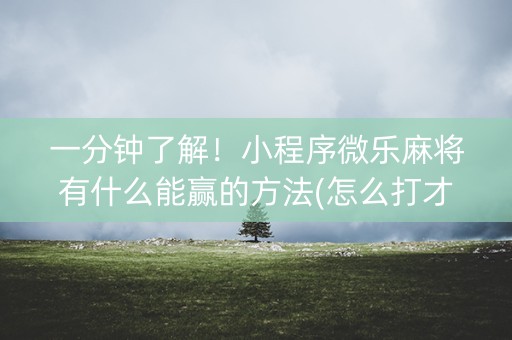 一分钟了解！小程序微乐麻将有什么能赢的方法(怎么打才赢)