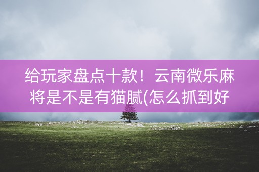 给玩家盘点十款！云南微乐麻将是不是有猫腻(怎么抓到好牌)