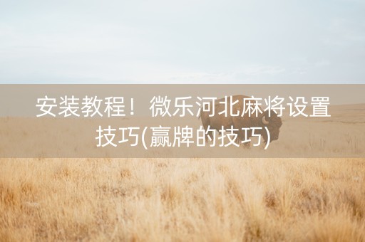 安装教程！微乐河北麻将设置技巧(赢牌的技巧)