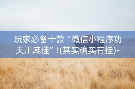 玩家必备十款“微信小程序功夫川麻挂”!(其实确实有挂)-抖音