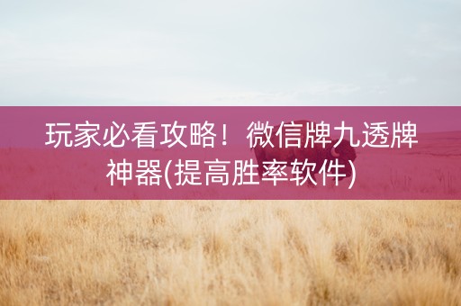 玩家必看攻略！微信牌九透牌神器(提高胜率软件)