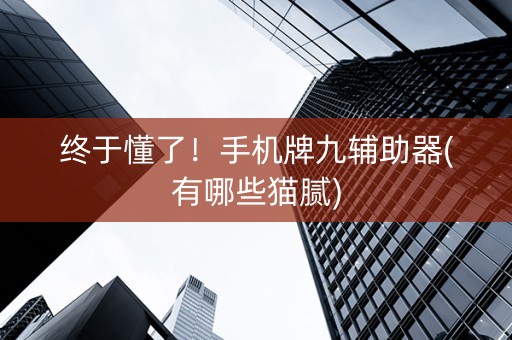 终于懂了！手机牌九辅助器(有哪些猫腻)
