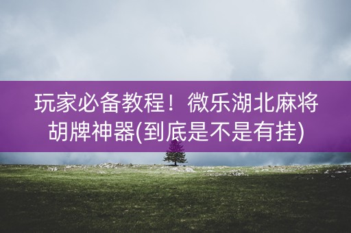 玩家必备教程！微乐湖北麻将胡牌神器(到底是不是有挂)