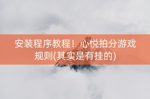 安装程序教程！心悦拍分游戏规则(其实是有挂的)