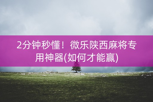 2分钟秒懂！微乐陕西麻将专用神器(如何才能赢)