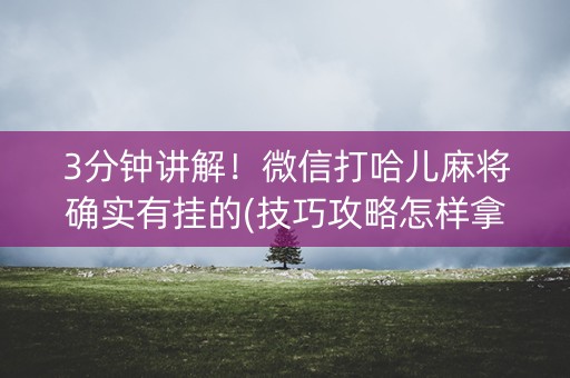 3分钟讲解！微信打哈儿麻将确实有挂的(技巧攻略怎样拿好牌)