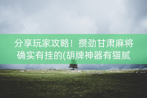 分享玩家攻略！攒劲甘肃麻将确实有挂的(胡牌神器有猫腻吗)