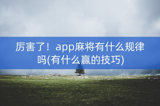 厉害了！app麻将有什么规律吗(有什么赢的技巧)