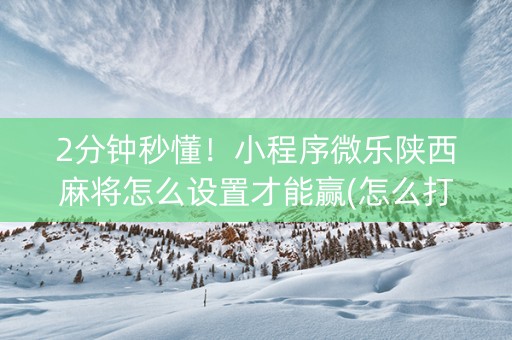 2分钟秒懂！小程序微乐陕西麻将怎么设置才能赢(怎么打容易赢)