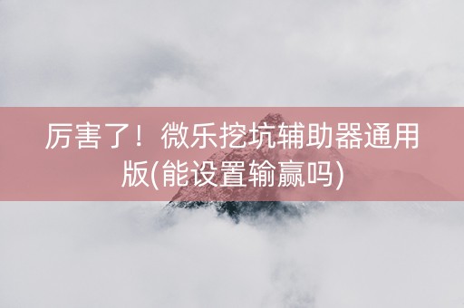 厉害了！微乐挖坑辅助器通用版(能设置输赢吗)