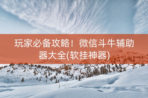 玩家必备攻略！微信斗牛辅助器大全(软挂神器)