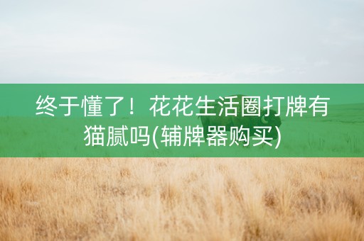 终于懂了！花花生活圈打牌有猫腻吗(辅牌器购买)