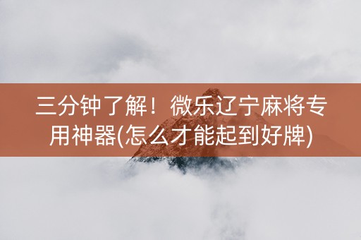 三分钟了解！微乐辽宁麻将专用神器(怎么才能起到好牌)