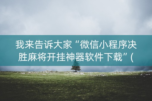 我来告诉大家“微信小程序决胜麻将开挂神器软件下载”(原来真的有挂)-抖音