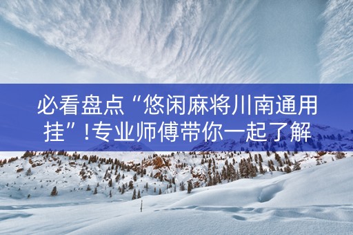 必看盘点“悠闲麻将川南通用挂”!专业师傅带你一起了解（详细教程）-抖音
