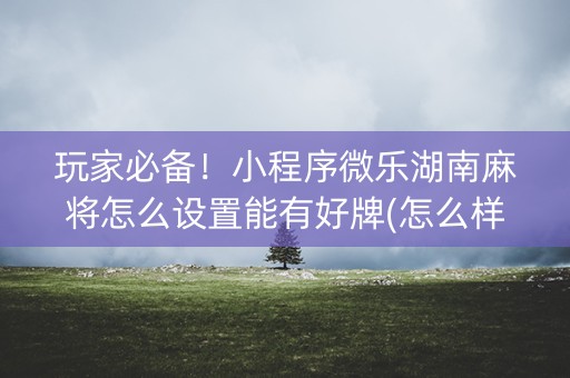 玩家必备！小程序微乐湖南麻将怎么设置能有好牌(怎么样来好牌)