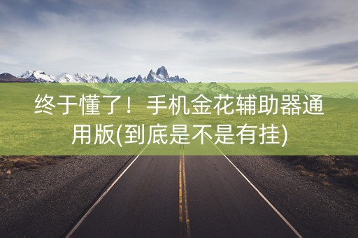终于懂了！手机金花辅助器通用版(到底是不是有挂)