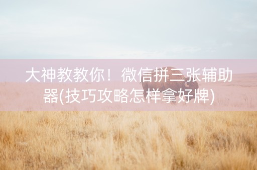 大神教教你！微信拼三张辅助器(技巧攻略怎样拿好牌)