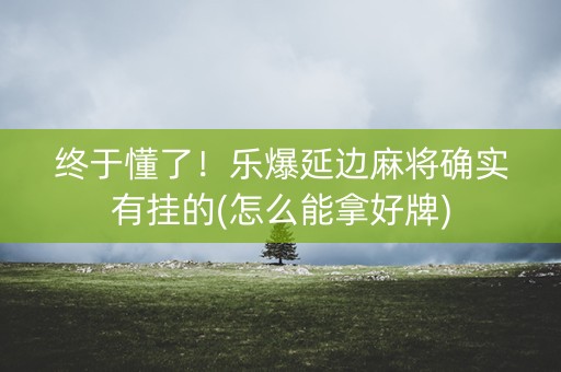 终于懂了！乐爆延边麻将确实有挂的(怎么能拿好牌)