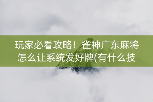 玩家必看攻略！雀神广东麻将怎么让系统发好牌(有什么技巧)