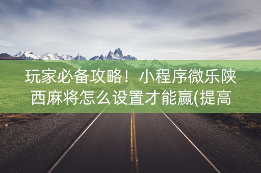 玩家必备攻略！小程序微乐陕西麻将怎么设置才能赢(提高胜率软件)
