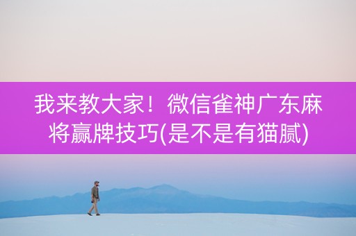 我来教大家！微信雀神广东麻将赢牌技巧(是不是有猫腻)
