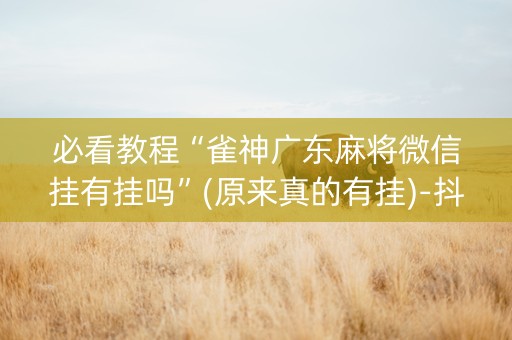 必看教程“雀神广东麻将微信挂有挂吗”(原来真的有挂)-抖音
