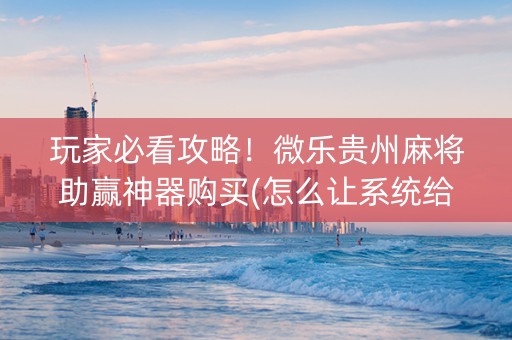 玩家必看攻略！微乐贵州麻将助赢神器购买(怎么让系统给你发好牌)