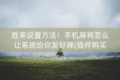 胜率设置方法！手机麻将怎么让系统给你发好牌(插件购买输赢规律)