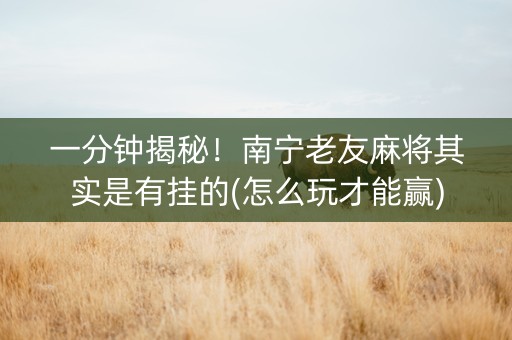 一分钟揭秘！南宁老友麻将其实是有挂的(怎么玩才能赢)