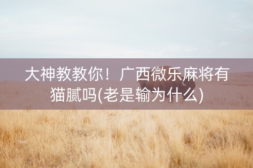 大神教教你！广西微乐麻将有猫腻吗(老是输为什么)
