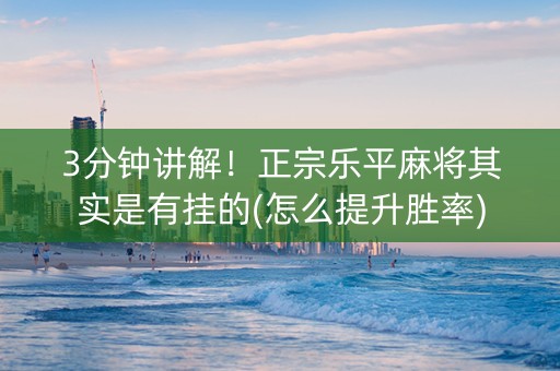 3分钟讲解！正宗乐平麻将其实是有挂的(怎么提升胜率)