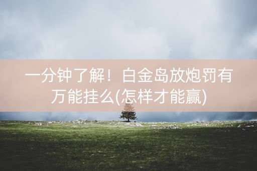 一分钟了解！白金岛放炮罚有万能挂么(怎样才能赢)