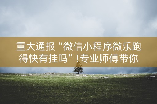 重大通报“微信小程序微乐跑得快有挂吗”!专业师傅带你一起了解（详细教程）-抖音