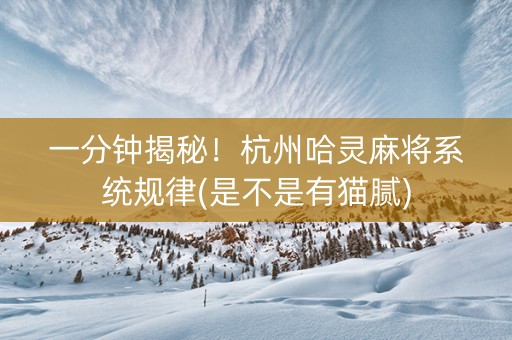 一分钟揭秘！杭州哈灵麻将系统规律(是不是有猫腻)