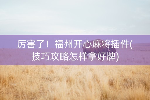 厉害了！福州开心麻将插件(技巧攻略怎样拿好牌)