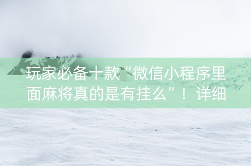 玩家必备十款“微信小程序里面麻将真的是有挂么”！详细开挂教程（确实真的有挂)-抖音