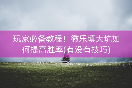 玩家必备教程！微乐填大坑如何提高胜率(有没有技巧)