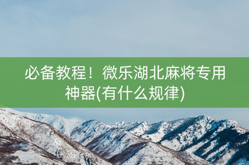 必备教程！微乐湖北麻将专用神器(有什么规律)