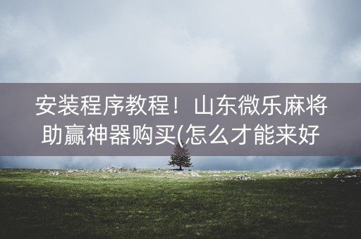 安装程序教程！山东微乐麻将助赢神器购买(怎么才能来好牌)