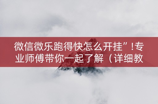 微信微乐跑得快怎么开挂”!专业师傅带你一起了解（详细教程）-抖音