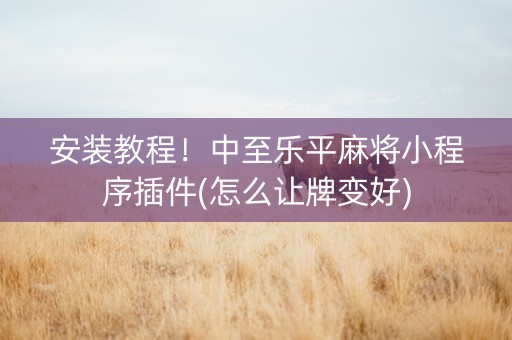 安装教程！中至乐平麻将小程序插件(怎么让牌变好)