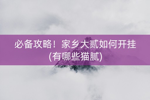 必备攻略！家乡大贰如何开挂(有哪些猫腻)