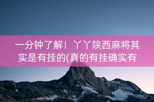 一分钟了解！丫丫陕西麻将其实是有挂的(真的有挂确实有挂)