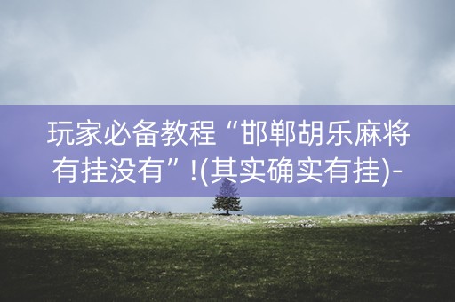 玩家必备教程“邯郸胡乐麻将有挂没有”!(其实确实有挂)-抖音